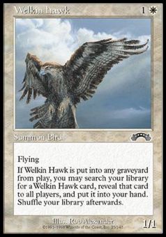 Falco Welkin