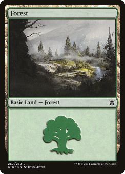 Foresta (Ver. 2)