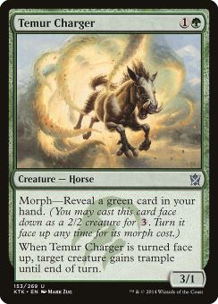 Destriero Temur