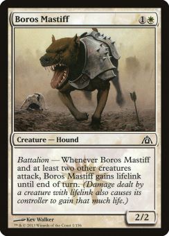 Mastino Boros