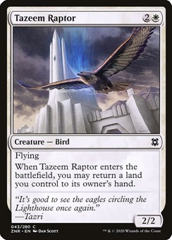 Rapace di Tazeem